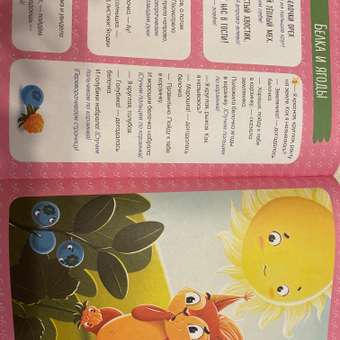 Книга Clever Издательство Всё что важно знать ребенку. 2 года. 365 веселых игр и развивающих заданий: отзыв пользователя Детский Мир