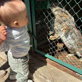 Брюки Baby Gо: отзыв пользователя Детский Мир