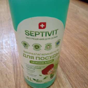 Гель для мытья посуды SEPTIVIT Premium Нежное алое 1л: отзыв пользователя Детский Мир