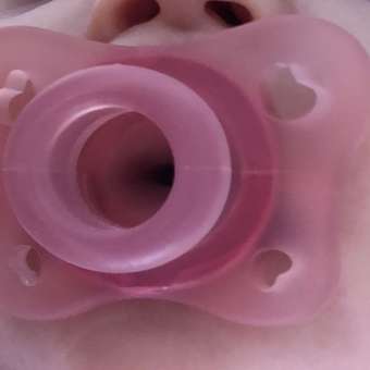Пустышка CHICCO Physio Soft Mini 2шт 2-6 мес силикон розовая: отзыв пользователя Детский Мир