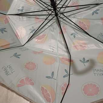 Зонт детский Сочный фрукт Amico: отзыв пользователя Детский Мир