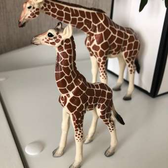 Фигурка MOJO Animal Planet Детеныш жирафа: отзыв пользователя Детский Мир