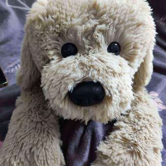Мягкая игрушка Мягкие игрушки БелайТойс Плюшевая собака Сема 25 см: отзыв пользователя Детский Мир