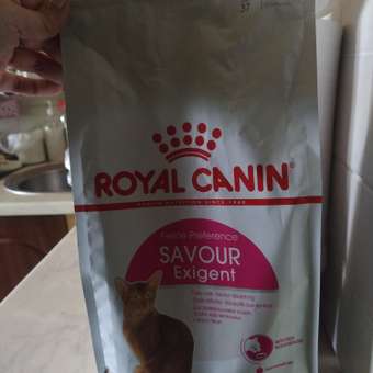 Корм сухой для кошек ROYAL CANIN Exigent Savour 2кг привередливых к вкусу продукта: отзыв пользователя. Зоомагазин Зоозавр