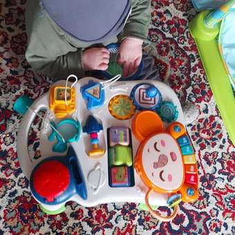 Ходунки BabyCare: отзыв пользователя Детский Мир