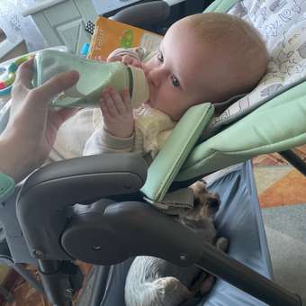Стульчик для кормления Babyton Sweet Meals Mint классический: отзыв пользователя Детский Мир