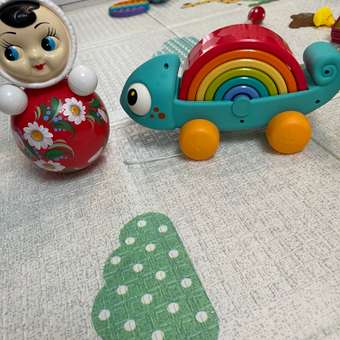 Игрушка BabyGo сортер Хамелеон: отзыв пользователя Детский Мир