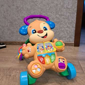 Ходунки Fisher Price Ученый Щенок FRC93: отзыв пользователя ДетМир