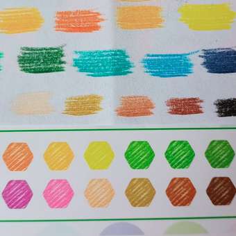 Карандаши цветные Brauberg деревянные для рисования утолщенные 24 цвета: отзыв пользователя Детский Мир