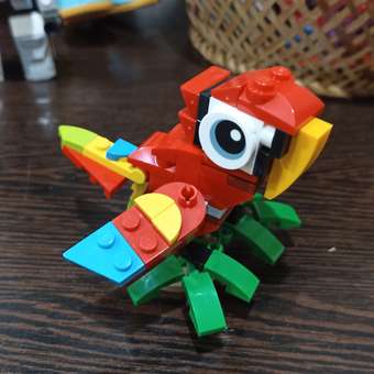 Конструктор LEGO Creator Попугай блочный: отзыв пользователя Детский Мир