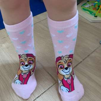 Носки 3 пары Paw Patrol: отзыв пользователя ДетМир