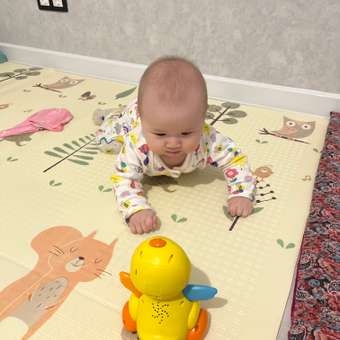 Игрушка BabyGo Утка: отзыв пользователя Детский Мир