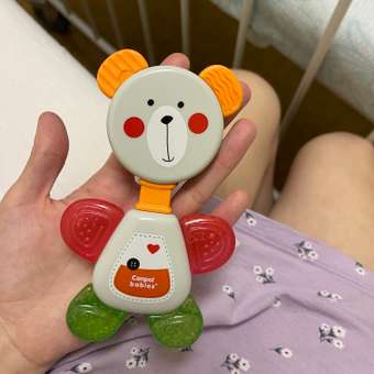 Прорезыватель Canpol Babies Мишка: отзыв пользователя Детский Мир