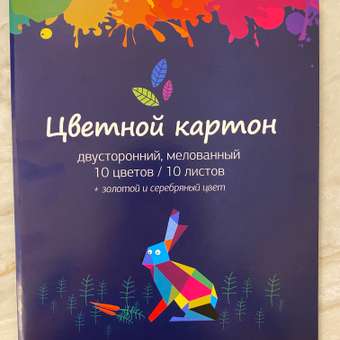 Картон цветной Silwerhof А4 10цветов 10л 1102300: отзыв пользователя Детский Мир