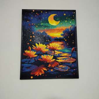 Алмазная мозаика Art on Canvas Ночной пруд в ассортименте: отзыв пользователя Детский Мир