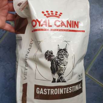 Корм для кошек ROYAL CANIN Gastro Intestinal GI-32 лечение ЖКТ 2кг: отзыв пользователя. Зоомагазин Зоозавр