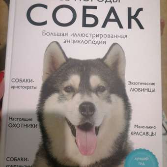 Книга ЭКСМО-ПРЕСС Все породы собак Большая иллюстрированная энциклопедия: отзыв пользователя Детский Мир