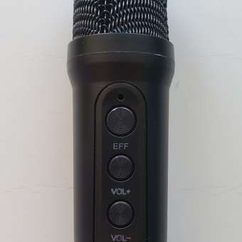 Колонка с микрофоном караоке CASTLELADY портативная беспроводная черная: отзыв пользователя Детский Мир