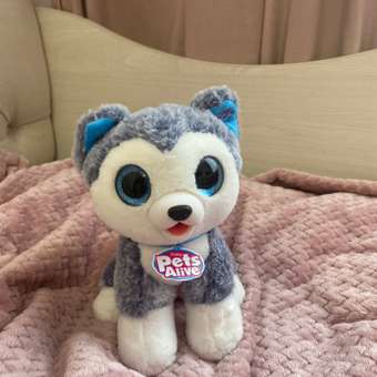 Фигурка Zuru Pets Alive Pooping Puppies: отзыв пользователя Детский Мир