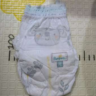 Подгузники-трусики Pampers Premium Care Pants 4 9-15кг 58шт: отзыв пользователя ДетМир