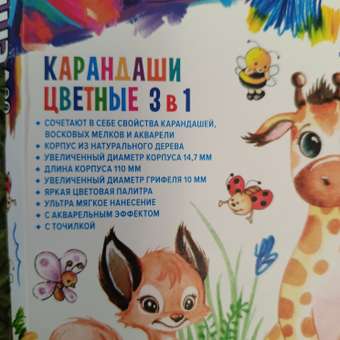 Набор цветных карандашей deVENTE утолщенные 6 цветов с точилкой: отзыв пользователя Детский Мир