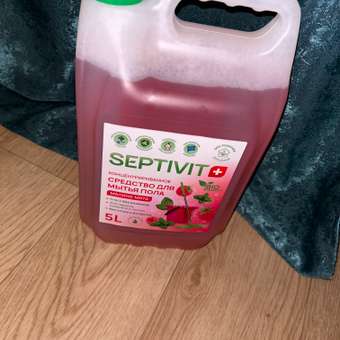 Средство для мытья полов SEPTIVIT Premium Малина мята 5л: отзыв пользователя Детский Мир