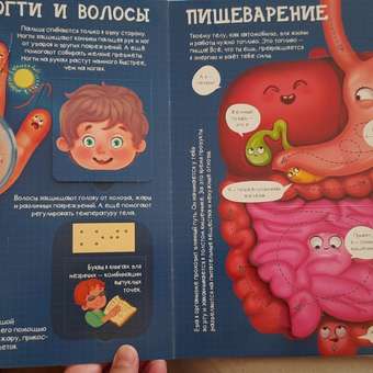 Энциклопедия с окошками БимБиМон книга детская: отзыв пользователя Детский Мир