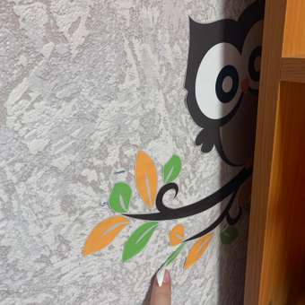 Наклейка интерьерная Woozzee Совы на ветке: отзыв пользователя Детский Мир