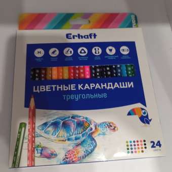 Карандаши цветные Erhaft 24 шт.: отзыв пользователя Детский Мир
