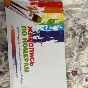 Картина по номерам Solmax с красками 17 цветов 40 x 50 см: отзыв пользователя Детский Мир