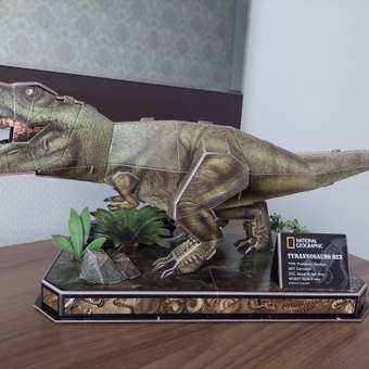 Пазл CubicFun National Geographic Тираннозавр рекс 3D 52детали DS1051h: отзыв пользователя ДетМир