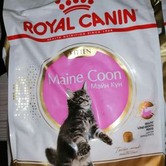 Сухой корм для кошек ROYAL CANIN 4 кг (полнорационный): отзыв пользователя. Зоомагазин Зоозавр