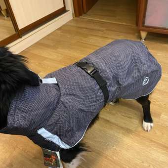 Куртка для собак ICEPEAK PET 50 Серый 470500320B27750: отзыв пользователя. Зоомагазин Зоозавр