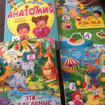 Набор книжек с окошками BimBiMon Для любознательных принцесс 4 шт: отзыв пользователя Детский Мир