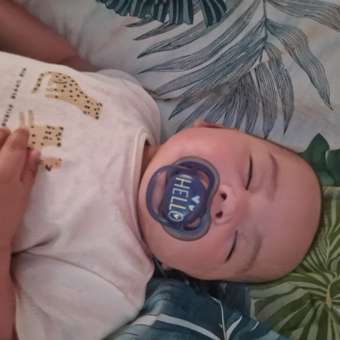 Пустышка Canpol Babies силикон анатомическая от 6 мес.: отзыв пользователя Детский Мир