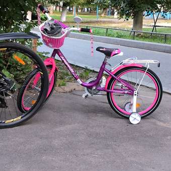 Велосипед NRG BIKES SWAN 20 violet-pink: отзыв пользователя Детский Мир