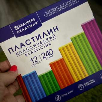 Пластилин классический Brauberg для лепки 12 цветов: отзыв пользователя Детский Мир