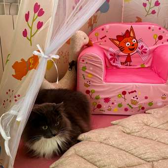 Кресло детское Кипрей Три кота Карамелька: отзыв пользователя Детский Мир