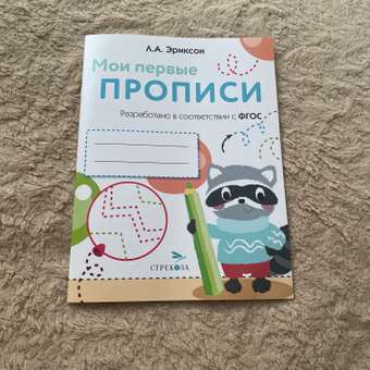 Книга Мои первые прописи Выпуск 6 Готовим руку к письму: отзыв пользователя Детский Мир