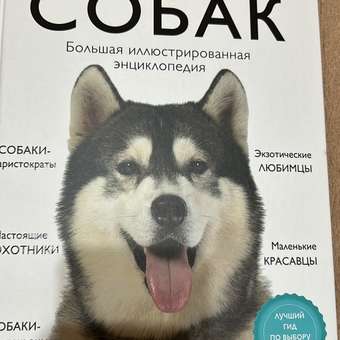 Книга ЭКСМО-ПРЕСС Все породы собак Большая иллюстрированная энциклопедия: отзыв пользователя Детский Мир