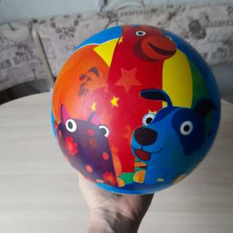 Мяч KiddiePlay Деревяшки 23см 3105: отзыв пользователя Детский Мир