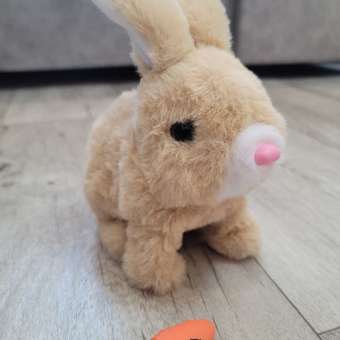 Интерактивная игрушка мягкая FAVORITSTAR DESIGN Пушистый зайчик коричневый с морковкой: отзыв пользователя Детский Мир
