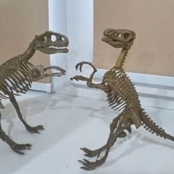 Подарочный набор археолога Lisciani Тираннозавр и Велоцираптор: отзыв пользователя ДетМир