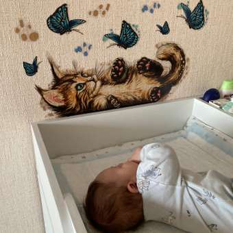 Наклейки интерьерные VEROL Котик и бабочка: отзыв пользователя Детский Мир