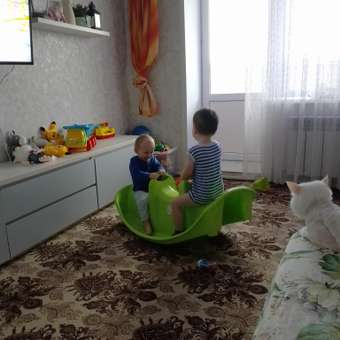 Качалка Zebratoys в ассортименте: отзыв пользователя Детский Мир