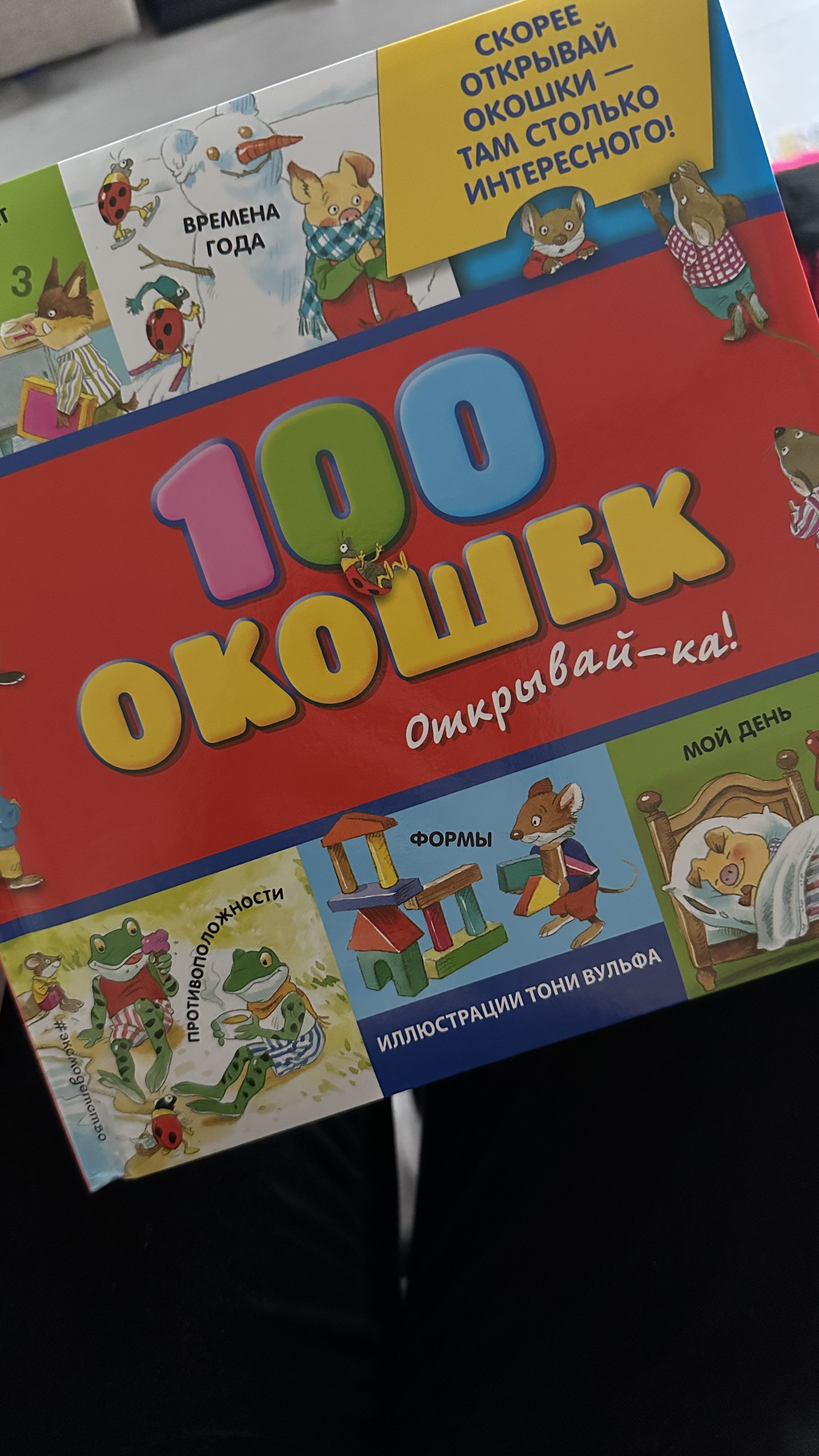 Мне очень приглянулась эта книга, будто мини энциклопедия бытовых моментов. Множество окошек и информативность. Но в реальности она мне не понравилась, хотя на сайте кажется очень увлекательной. Первое впечатление когда я ее увидела в живую, будто это шаржи в газете а не детская книжка. Иллюстрации однотипные, скучные, блеклые, все сливается. Рисунки не четкие, нарисовано карандашом крупными штрихами. В теме книги акцент на четких характеристиках, но они не понятны изза невнятных рисунков. Считаю, для ребенка они не подходят. Книгу выкупать не стала даже со скидкой 600р.