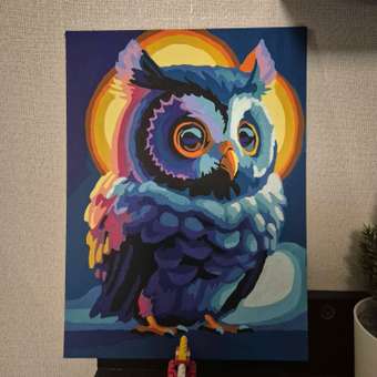 Картина по номерам Hobby Paint Совиный взгляд в ассортименте: отзыв пользователя Детский Мир