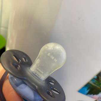 Пустышка Philips Avent анатомическая от 6 мес. 2 шт.: отзыв пользователя ДетМир