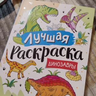 Раскраска Росмэн Лучшая раскраска Динозавры: отзыв пользователя Детский Мир