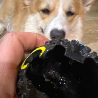 Игрушка для собак Пижон Квакающий мяч жёсткий 7.5 см чёрный: отзыв пользователя. Зоомагазин Зоозавр